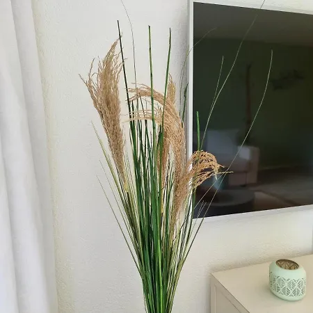 Strandhuesli Directly On Thun * Därligen